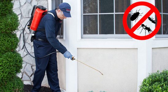 Hayrabolu Bit İlaçlama böcek ilaçlama ve haşere kontrolü — ilaclama-tr.com